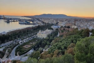 Málaga: Private Personalized Walking Tour