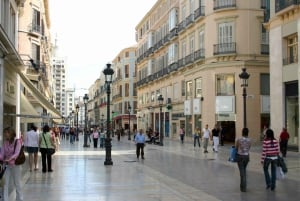 Malaga: Private Plaza de la Merced, City Center, & Port Tour
