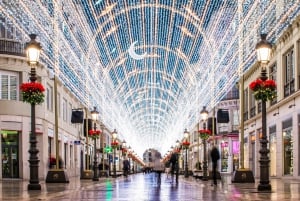 Malaga: Private Plaza de la Merced, City Center, & Port Tour