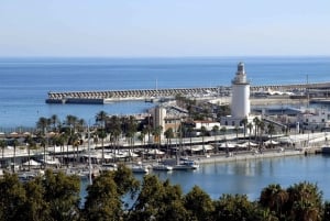 Malaga: privéles Spaans voor elk niveau