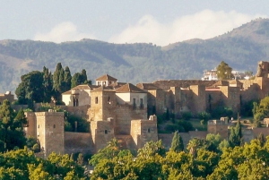 Malaga: Private Walking Tour with Hotel Pickup