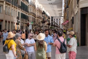 Málaga Tour Privado a Pé, Teatro Romano e Alcazaba com Bilhetes
