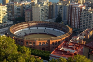 Málaga: privé wandeltour met officiële gids