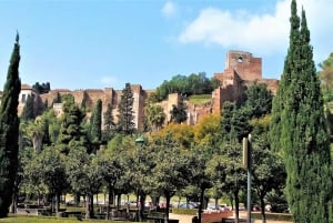 Malaga: Private Tour zu Fuß