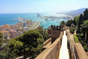 Málaga: tour a pie privado