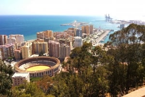Málaga: tour a pie privado