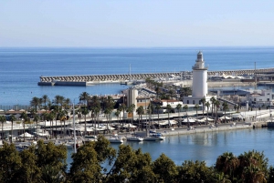 Málaga: Private Wandertour