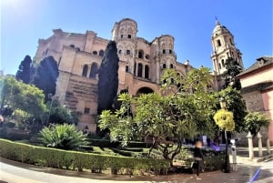 Malaga: Private walking tour