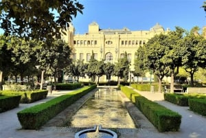 Malaga: Private walking tour