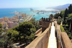 Malaga: Private walking tour