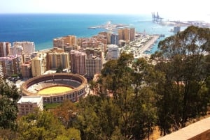 Malaga: Private walking tour
