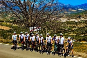 Málaga: Road Bike Tour with Guide and Bike Rental