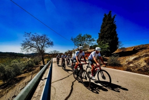 Málaga: Road Bike Tour with Guide and Bike Rental
