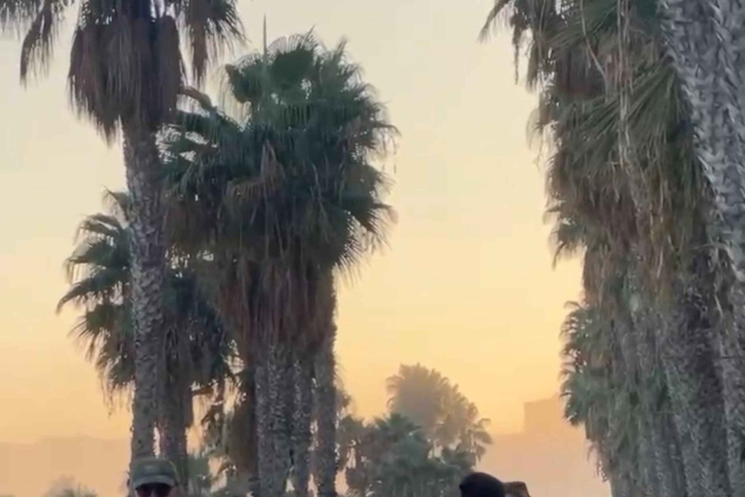 Malaga: stadsrondleiding op rolschaatsen, rolschaatslessen