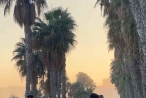 Malaga: stadsrondleiding op rolschaatsen, rolschaatslessen