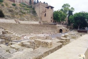 Malaga: Den romerska teatern och Alcazaba i Malaga guidad tur