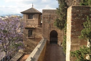 Malaga: Romeins theater en rondleiding Alcazaba van Malaga