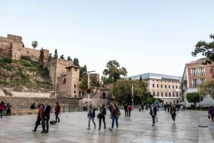 Malaga: Romeins theater en rondleiding Alcazaba van Malaga