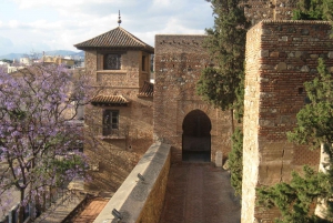 Malaga: Roman Theater and Alcazaba of Malaga Guided Tour