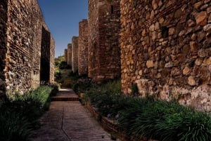 Málaga: Omvisning på det romersk amfiteateret og Alcazaba