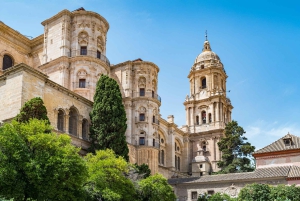Málaga Romance Private Tour: From Fortresses to Markets