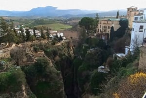 Malaga: Ronda & Setenil de las Bodegas Trip