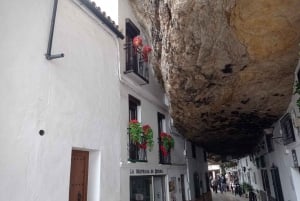 Malaga: Ronda & Setenil de las Bodegas Trip