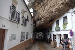 Malaga: Ronda & Setenil de las Bodegas Trip