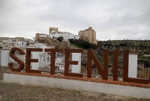 Malaga: Ronda & Setenil de las Bodegas Trip