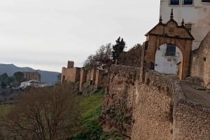 Malaga: Ronda & Setenil de las Bodegas Trip