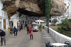 Malaga: Ronda & Setenil de las Bodegas Trip