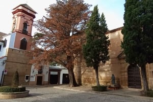 Malaga: Ronda & Setenil de las Bodegas Trip