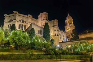 Les lumières festives de Málaga : une visite à pied privée de Noël
