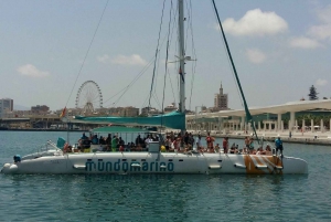 Malaga: Sailing Catamaran with Swimming and Paella Lunch