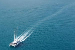 Malaga: Catamaran zeilen met zwemmen en Paella lunch