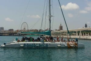Malaga: Katamaranseiling med svømming og paellalunsj