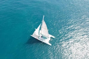 Malaga: Katamaranseiling med svømming og paellalunsj