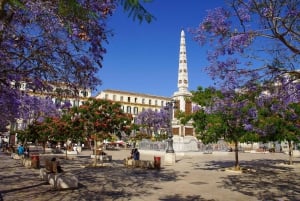 Malaga: itseopastettu äänikierros