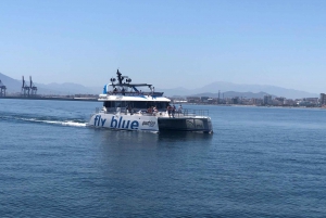 Málaga: Passeio de catamarã ao pôr do sol