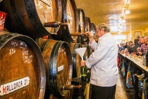 Malaga: tour di tapas e degustazione di vini con spettacolo di flamenco