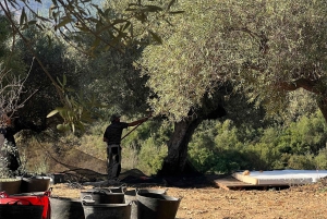 Malaga:Tapas Cooking Class with Local Grandmother/Abuela