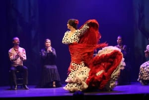 Malaga: Theatro Club Málaga Live Flamenco Show Entry Ticket