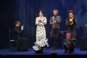 Malaga: Theatro Club Málaga Live Flamenco Show Entry Ticket