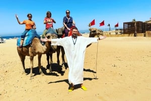 Malaga to Tangier: Exclusive Day Trip with Ferry Ticket