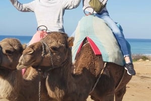 Malaga to Tangier: Exclusive Day Trip with Ferry Ticket