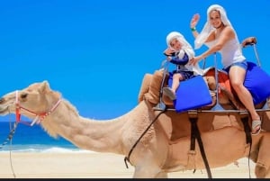 Malaga to Tangier: Exclusive Day Trip with Ferry Ticket