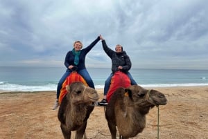 Malaga to Tangier: Exclusive Day Trip with Ferry Ticket