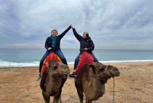 Malaga to Tangier: Exclusive Day Trip with Ferry Ticket