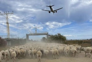 Málaga: Tour 2-Hours Solo All-Terrain Quad Adventure