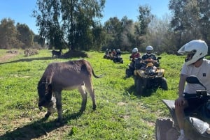 Málaga: Excursión de 2 horas en solitario en quad todo terreno
